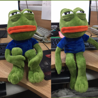 pepe soft toy
